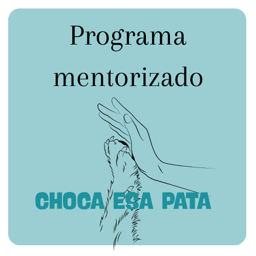 Choca esa Pata — Mentoría de Convivencia