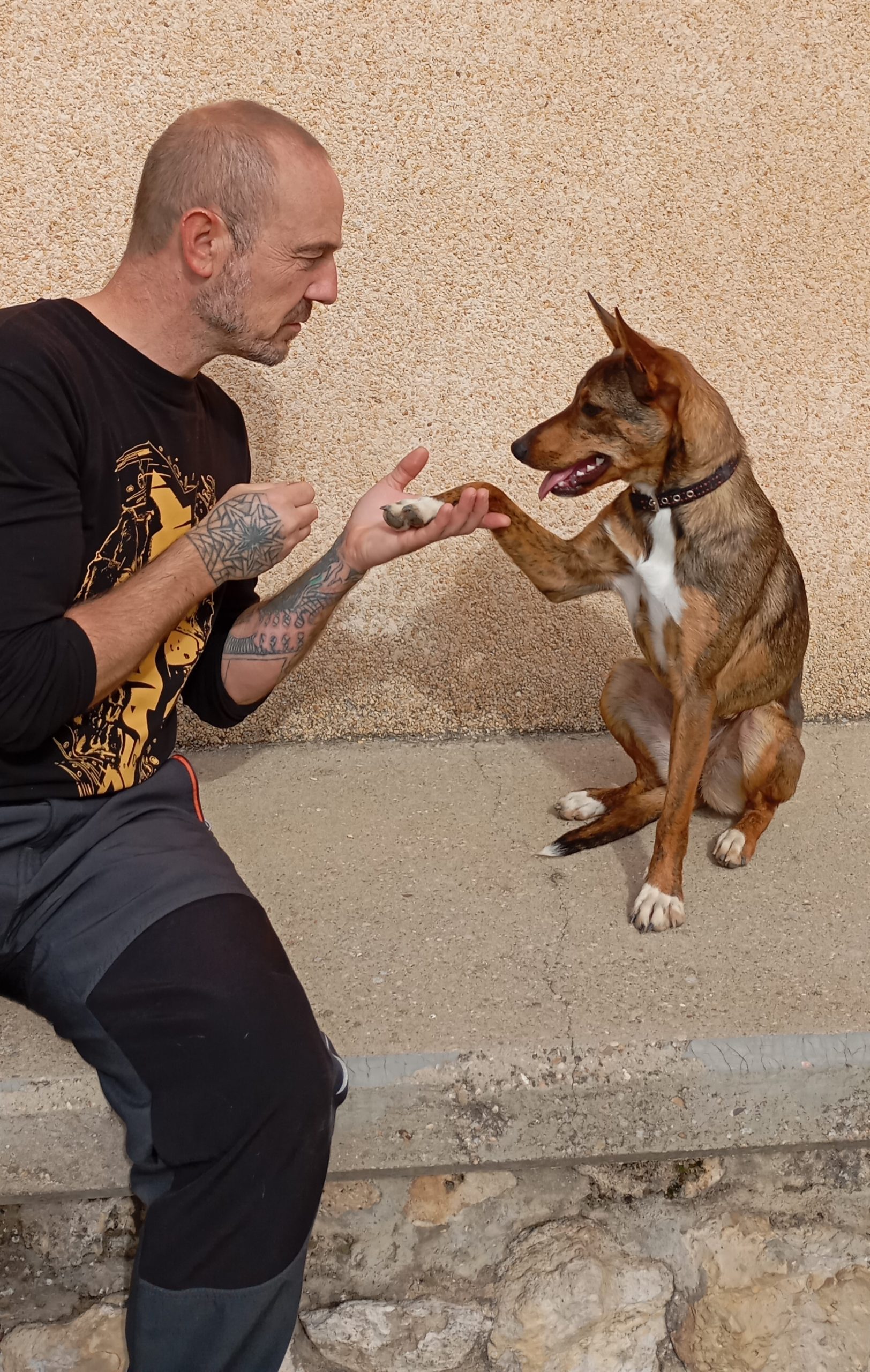 Miguel Palacios chocando la pata con un perro
