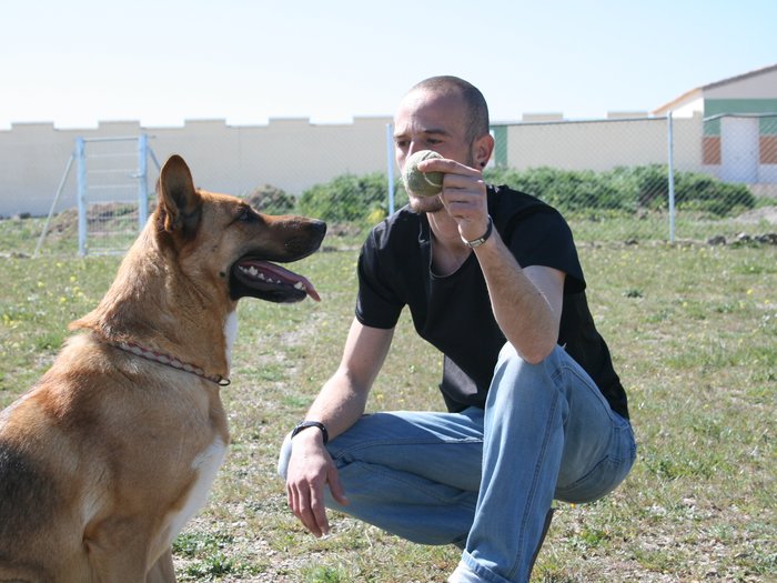 Persona agachada a la altura de su perro