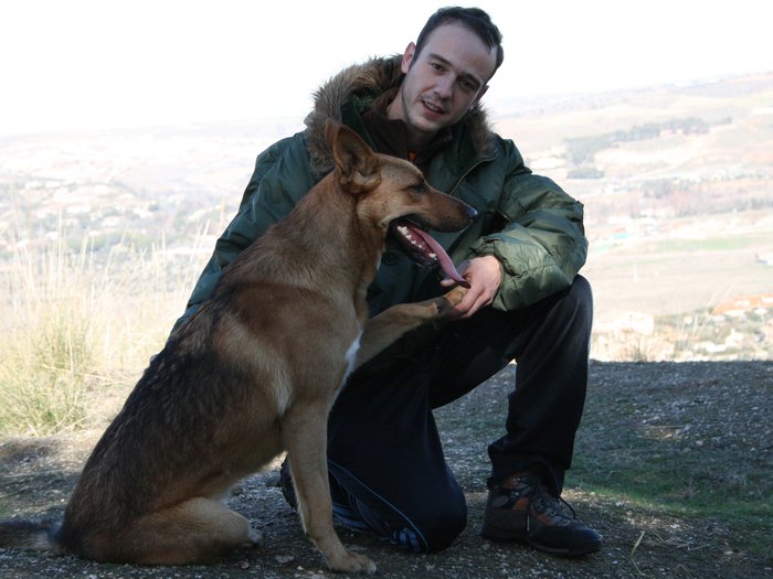 Persona y perro atentos el uno al otro en el campo