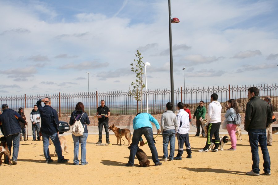 Miguel dando una clase en grupo con varias familias y sus perros