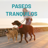 paseos tranquilos-boton
